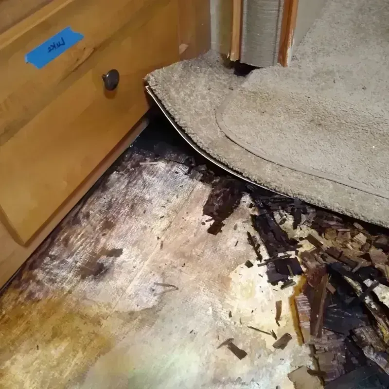 Best Wood Floor Water Damage Service in Winston County, AL